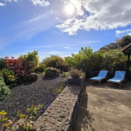 Sara Landsted Puntallana